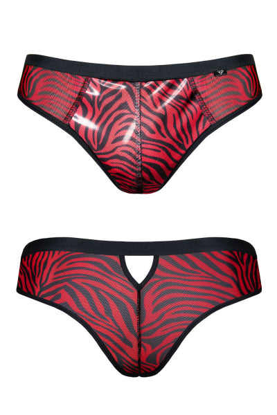 Braguita brasileña de cebra roja y negra - Regnes