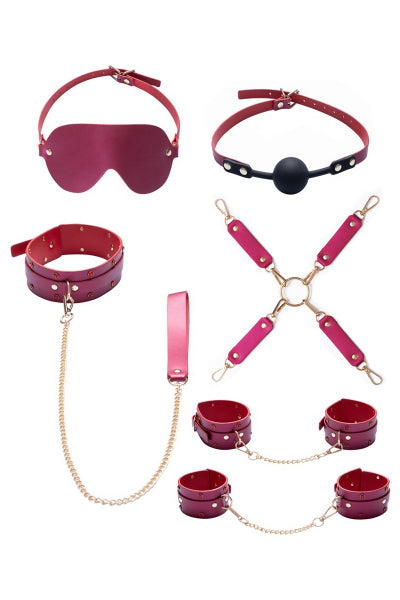 Set de 7 piezas Fetish SM rosa - Bad Kitty