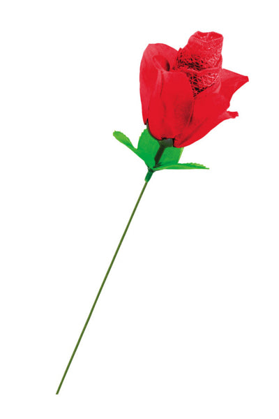 Rosa sorpresa con bragas - Novedades divertidas