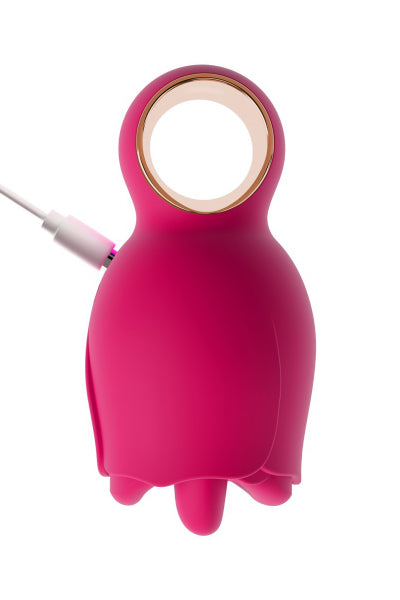 stimulateur rechargeable